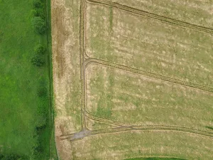 2nisdrone prise de vue aérienne de forêt et traçages champs-6, Droniste qualifié et certifié en Ile de France