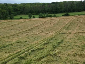 2nisdrone prise de vue aérienne de forêt et pré-5, Droniste qualifié et certifié en Ile de France