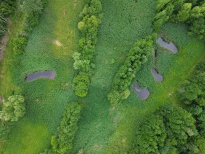 2nisdrone prise de vue aérienne de forêt et petits étangs-2, Droniste qualifié et certifié en Ile de France