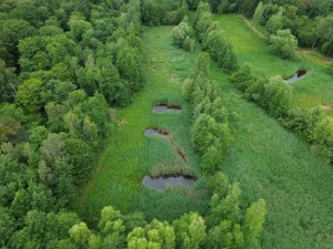 2nisdrone prise de vue aérienne de forêt et étangs-1, Droniste qualifié et certifié en Ile de France
