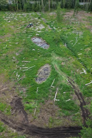 2nisdrone prise de vue aérienne de forêt et tempête-9, Droniste qualifié et certifié en Ile de France